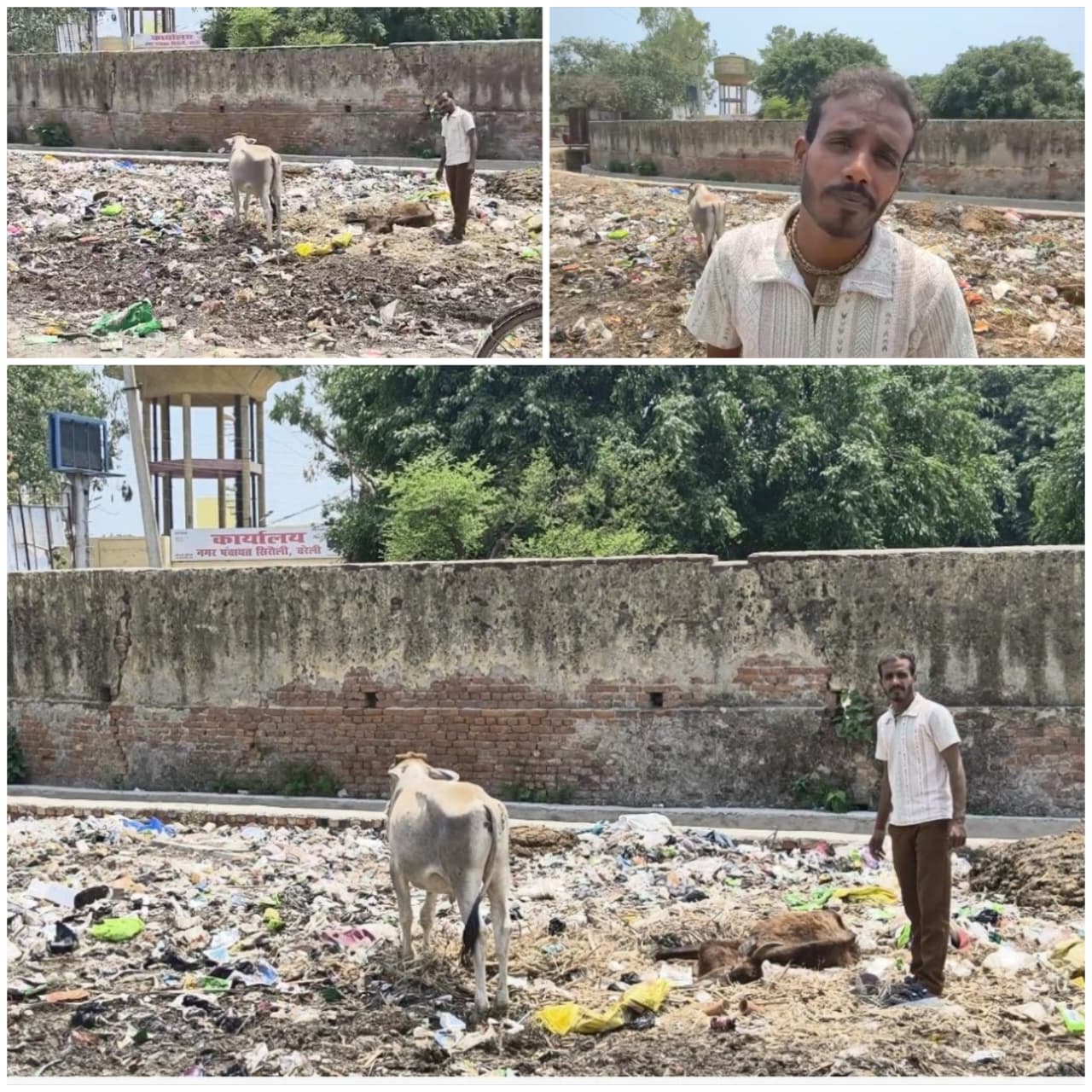 अंतर्राष्ट्रीय हिंदू परिषद व राष्ट्रीय बजरंग दल के कार्यकर्ताओं की पहल पर मृत गाय का शव हटाया गया, नगर पंचायत की कथित लापरवाही पर जांच की मांग